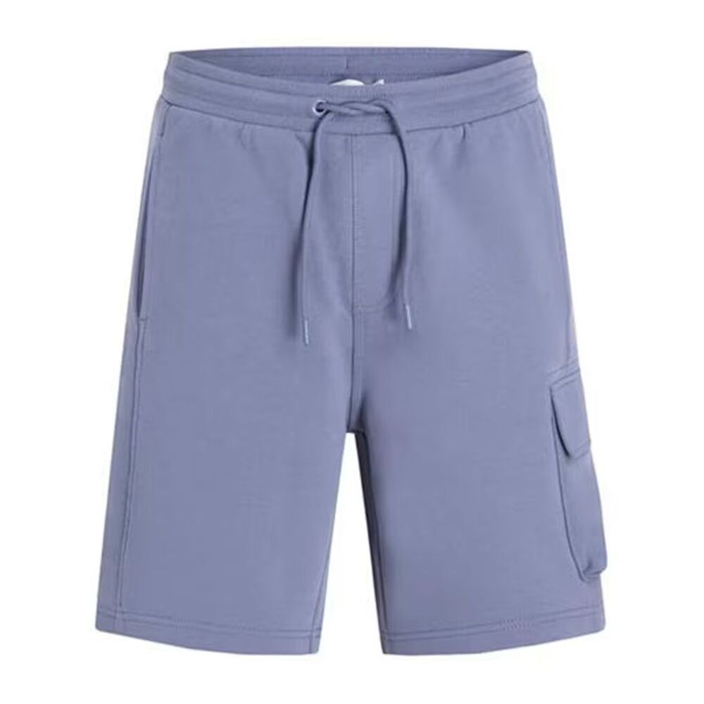 Calvin Klein Mens Cargo Shorts / Grisaille